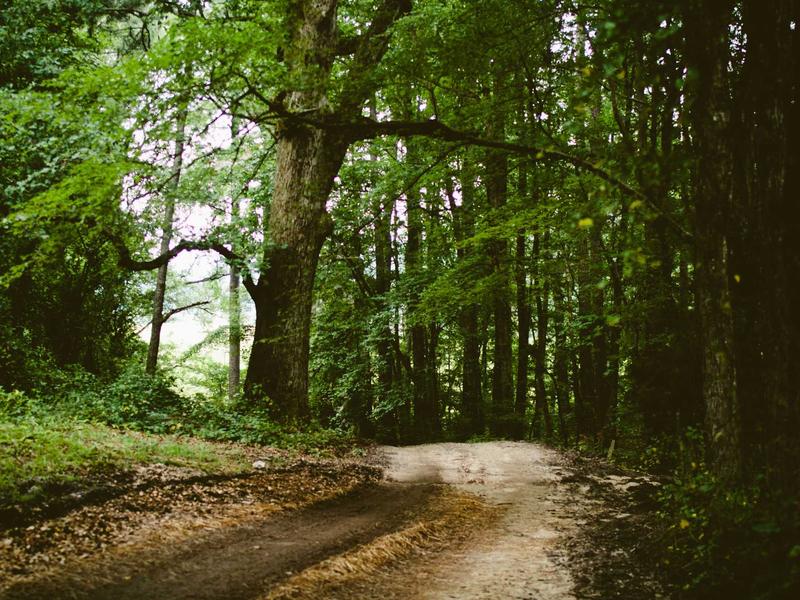 sudoku hint feature screenshot 6